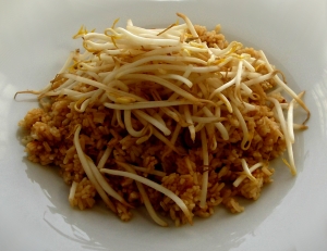 Day 27 lunch: Leftover chicken rice with bean sprouts